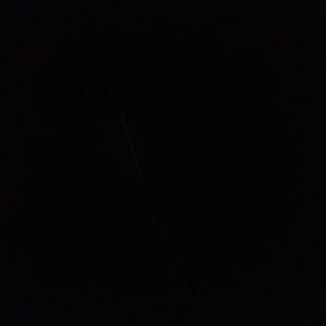 Meet your Posher, Jaeleena